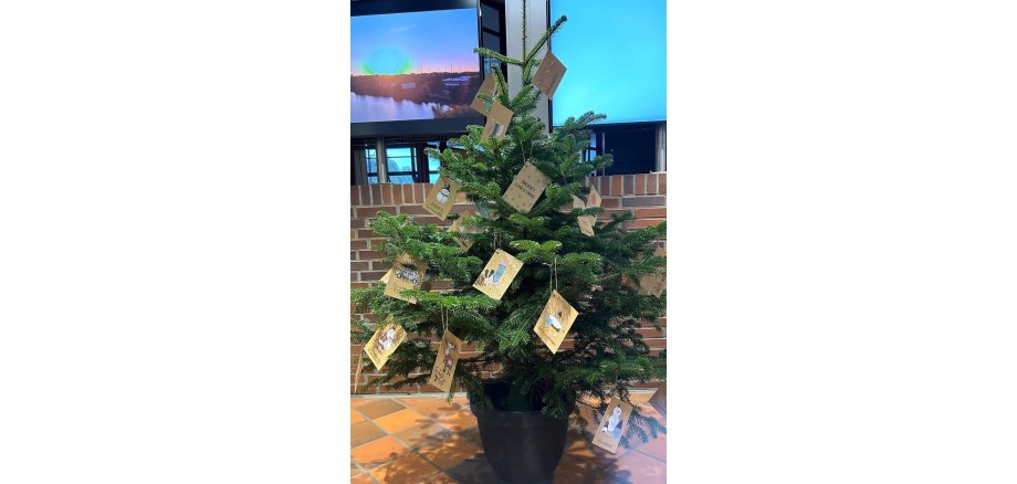 Weihnachtsbaum im Rathaus