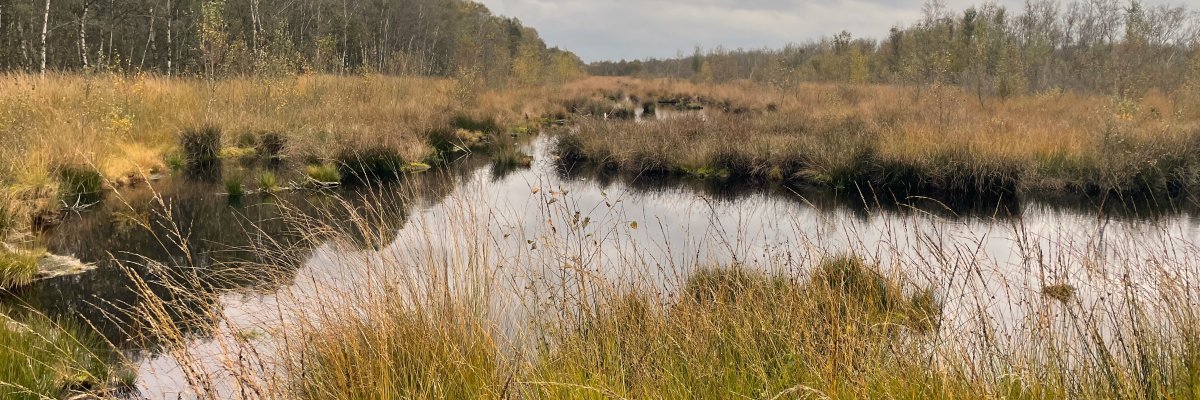 Naturpark Moor Veenland